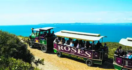 The Alluring Bay Of Roses On The Costa Brava