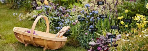 BBC Gardeners World “Live”