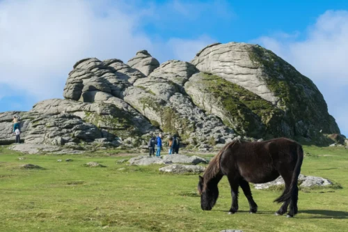 Scenic Dartmoor & Tavistick On Market Day