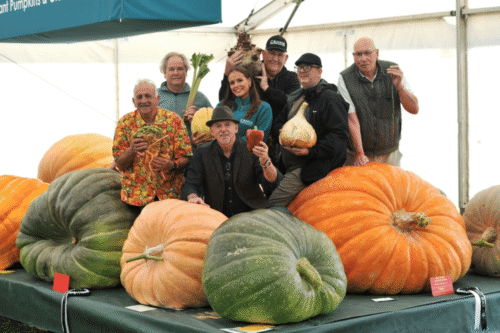 RHS Malvern Autumn Show